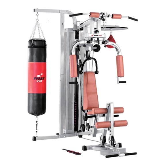 艾威豪华单人站GM8510