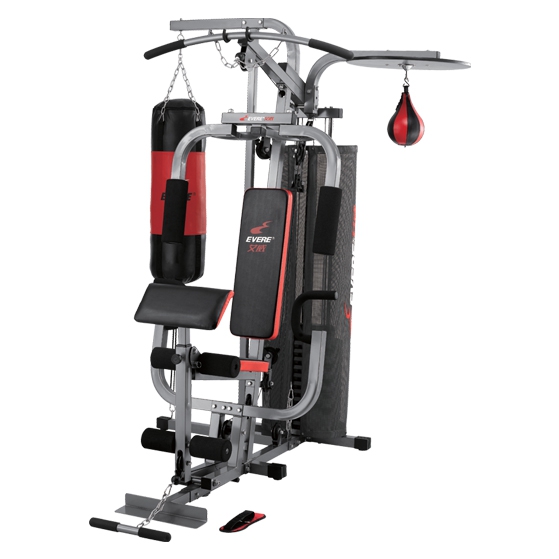 艾威豪华综合训练器单人站GM6550