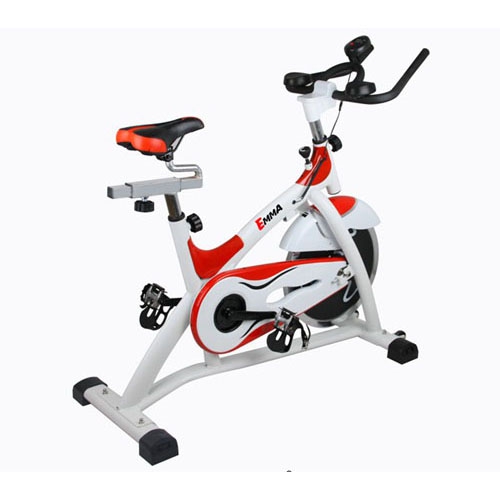 爱玛健身单车S2000